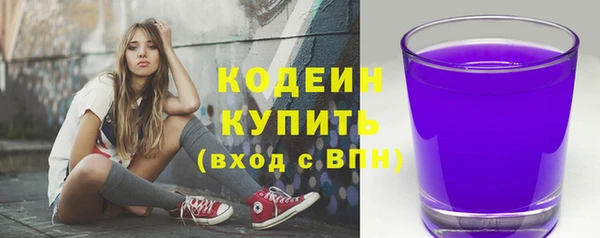 молекула духа Новозыбков